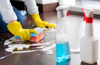 Priya, End of Tenancy Cleaning Expert at SPK N SPN Cleaning Services West Midlands